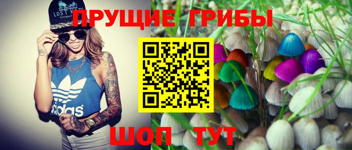 Псилоцибиновые грибы мухоморы  Вход с VPN  Псилоцибиновые грибы мухоморы  Норильск 