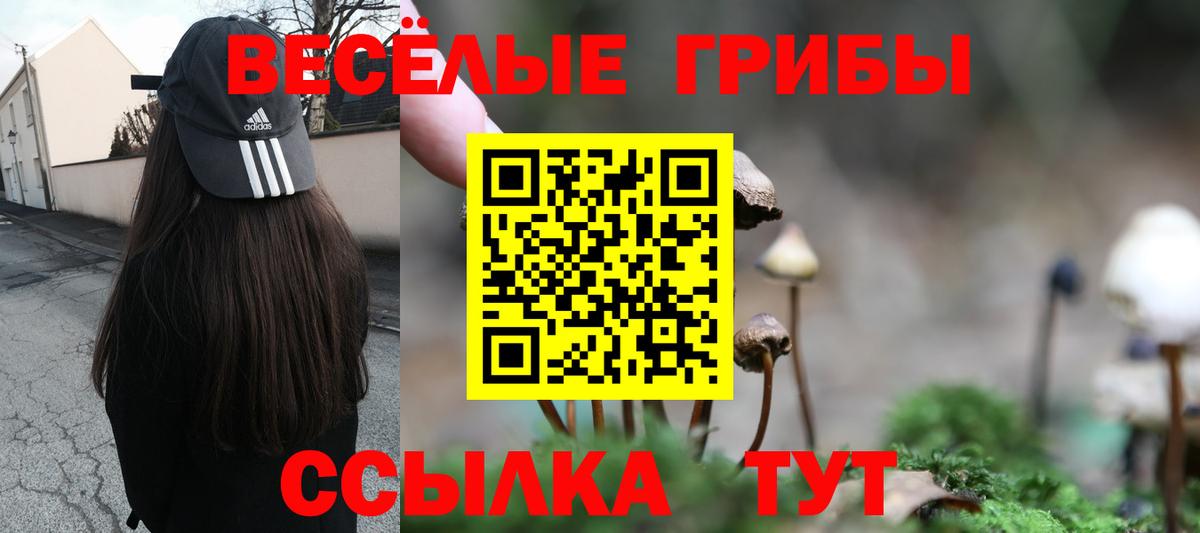 Галлюциногенные грибы мухоморы Норильск